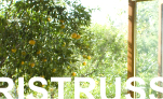 ristrutturazione ss